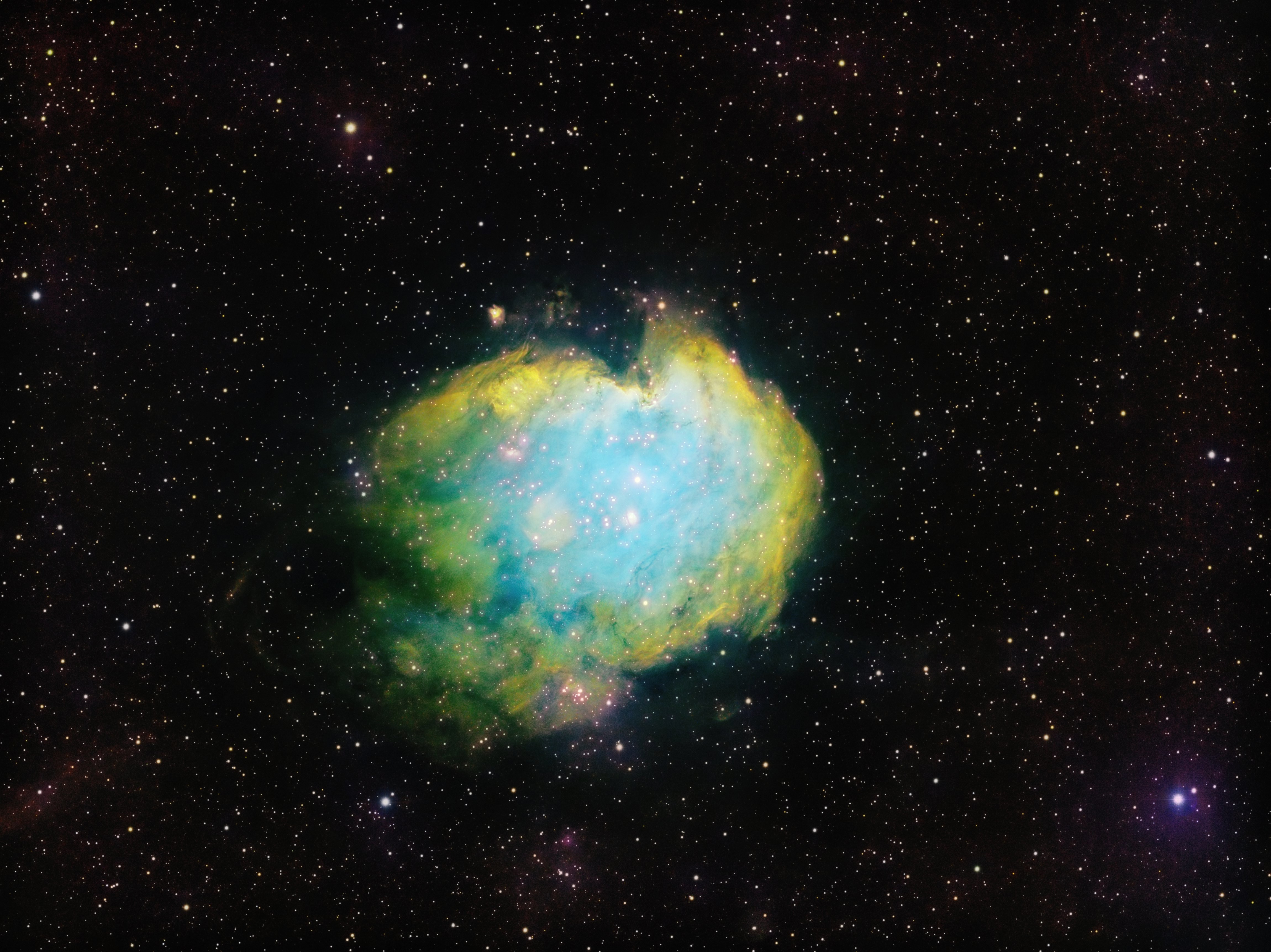 Monkey Head Nebula